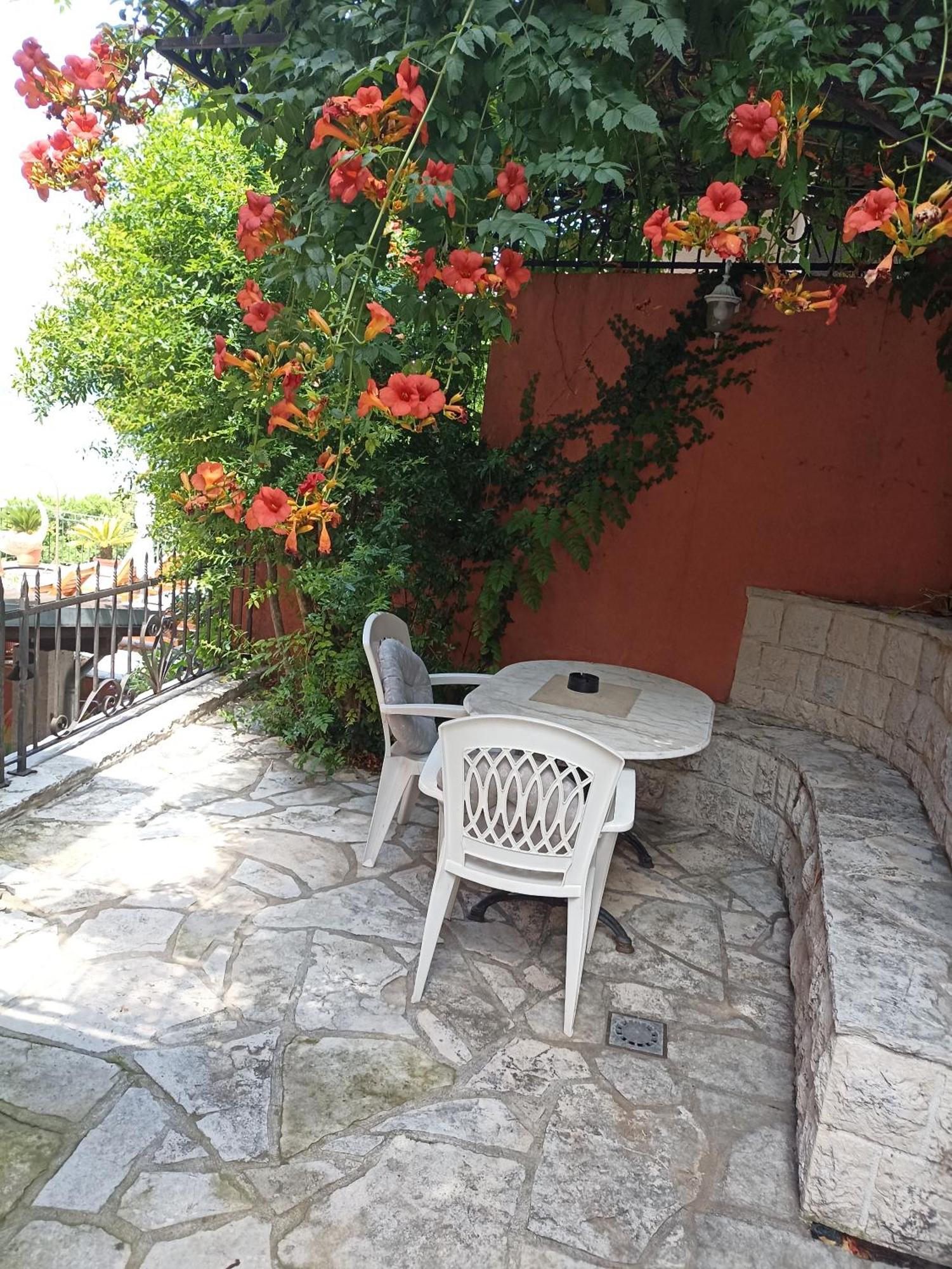 Apartman Perla Del Mare Kotor