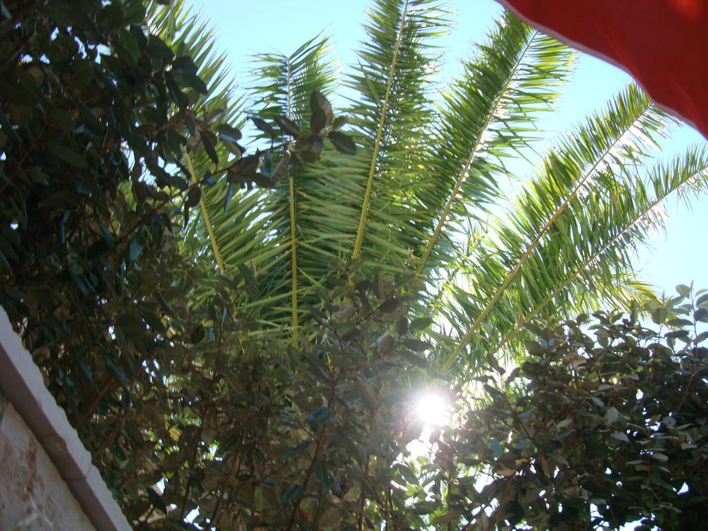 Apartman Perla Del Mare