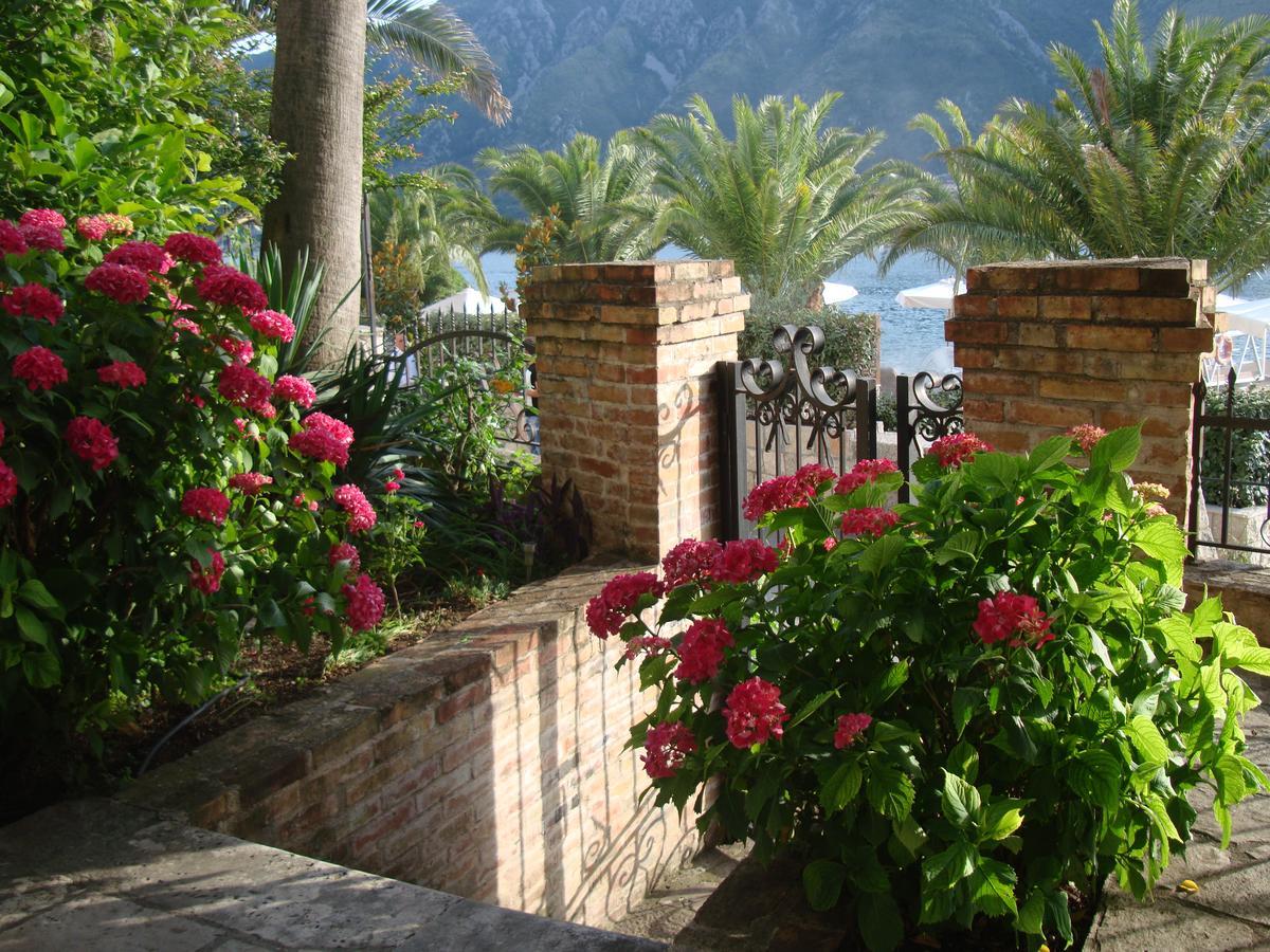 Perla Del Mare * Kotor